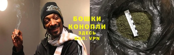 крисы Белая Холуница