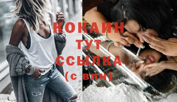 СК Билибино