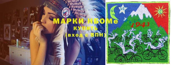 тгк Бикин