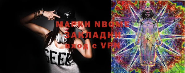 тгк Бикин