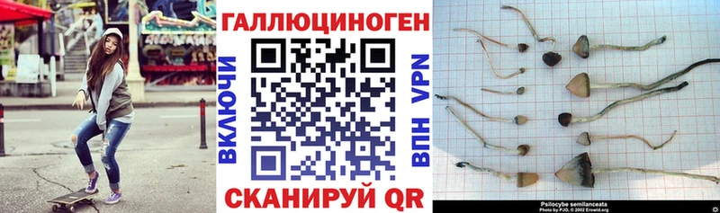 Галлюциногенные грибы GOLDEN TEACHER Зверево
